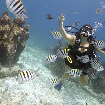 PADI Discover Scuba Diving for divers without certification