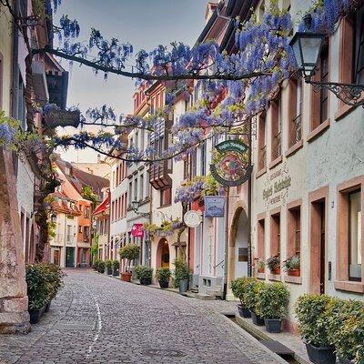 Group tour in Italian in Freiburg im Breisgau