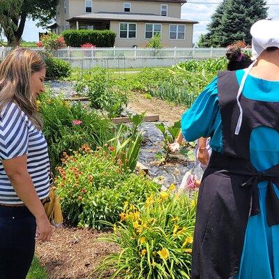 Unique Amish Immersion in Lancaster