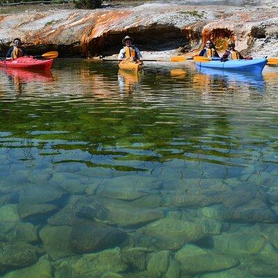 Lake Yellowstone Half Day Kayak Tours Past Geothermal Features 