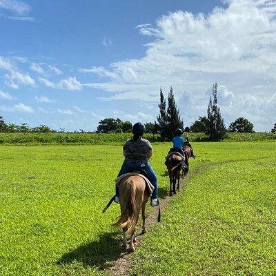 Scenic Horseback Riding Tour from San Juan