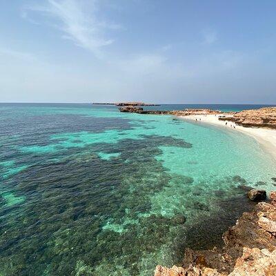 Snorkeling at Dimaniyat Islands and Dolphin Watching