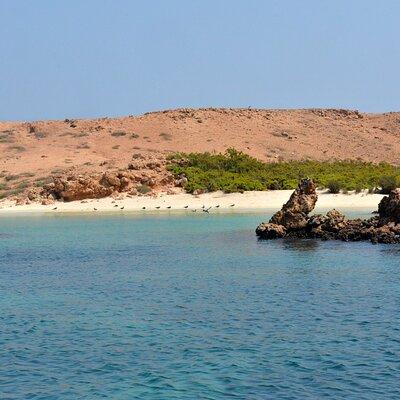 Snorkeling trips to Daymaniat Islands Sharing Trip