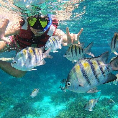 3 Hours VIP Semiprivate Tour Isla Mujeres Full Snorkeling Experience 