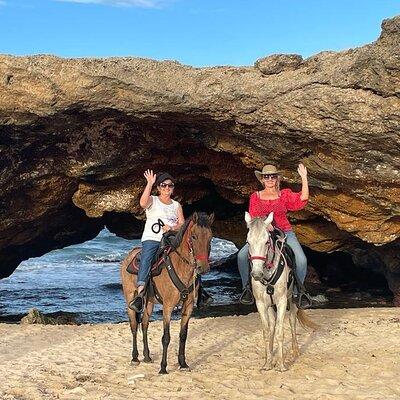 2-Hour Horseback Riding Tour to Little Natural Bridge in Aruba