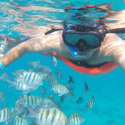 Private MUSA Snorkeling Experience at Isla Mujeres and Cancun