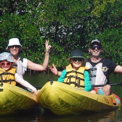 Guided Kayak Eco Tour in Pelican Bay