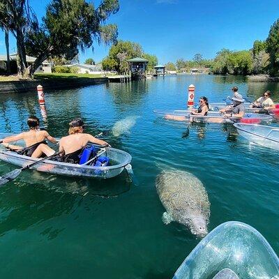 Clear Kayak Tour of Crystal River