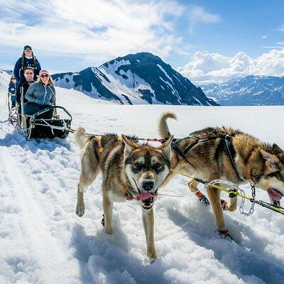 Alaska Helicopter and Glacier Dogsled Tour - SEWARD AREA