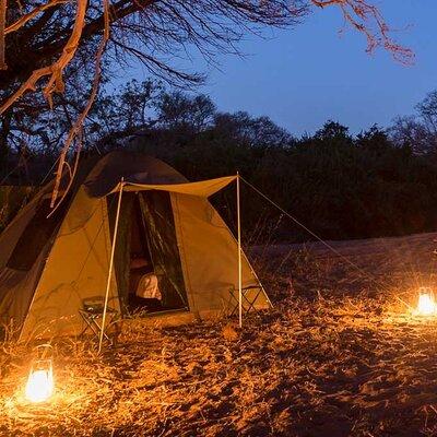 All Inclusive 3 Day Kruger Camping Safari Adventure