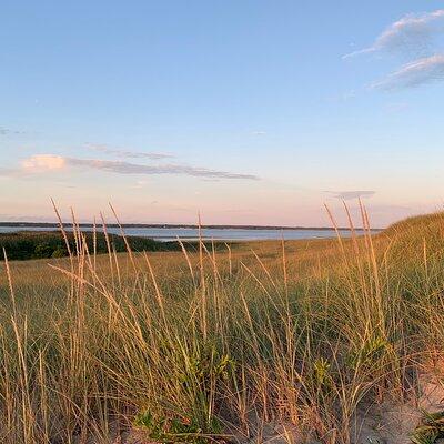 Private, Guided Sightseeing Tour of Marthas Vineyard Island(3hrs)