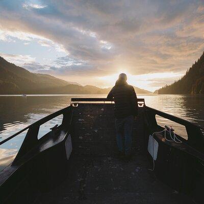 Alaska Wildlife Tour in Kachemak Bay