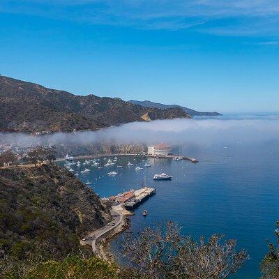 2 hour Inside Adventure Tour on Catalina Island