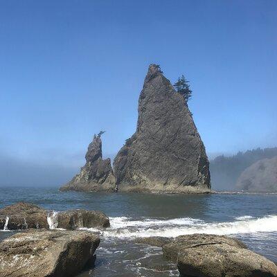 Private Day Hike- Rialto Beach Tide Pooling