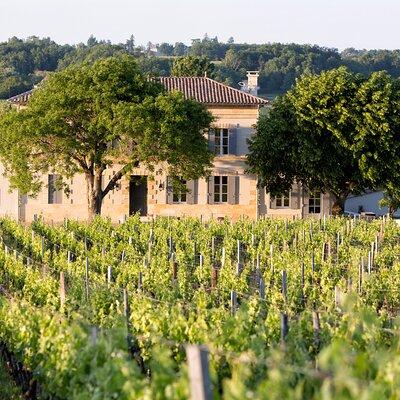 Saint Emilion Half-Day Trip with Wine Tasting & Winery Visit from Bordeaux