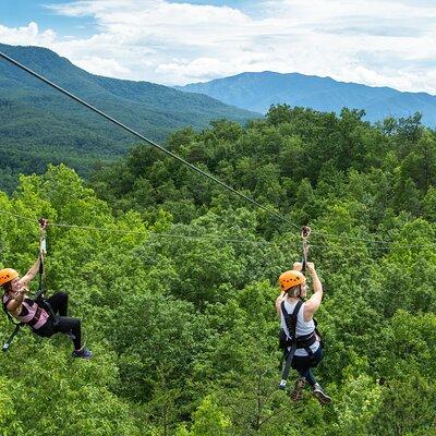 Mountaintop Zipline 2-Hours Activity