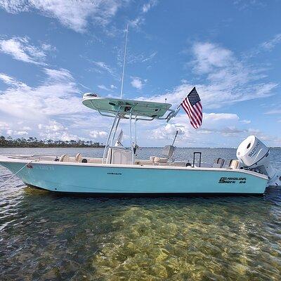 Two Hour Sightseeing/Dolphin Tour in Panama City Beach