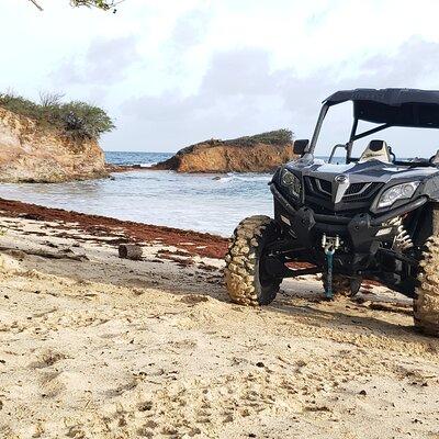 Salty Dogs UTV Adventure