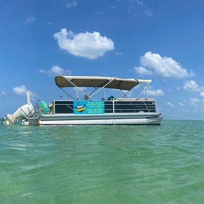 4 Hour Dolphin and Sandbar Cruise