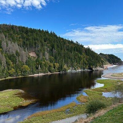 Go Fundy Tours