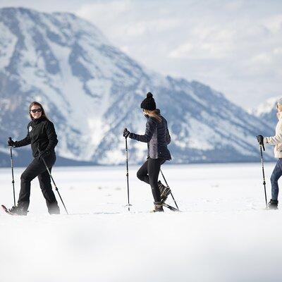 4 hour Snowshoe in Grand Teton National Park