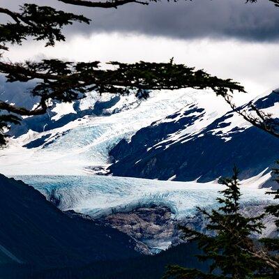 Exquisite Wildlife & Wilderness Photo Tour Anchorage -Whittier