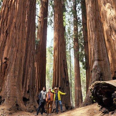 Private Guided Hiking Tour - Sequoia National Park