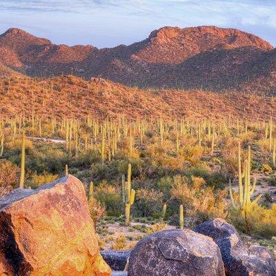 Saguaro National Park East E-Bike Tour