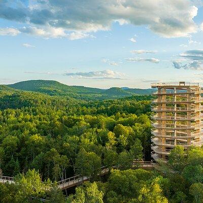 Access to Mont-Tremblant Treetop Observatory and Walk