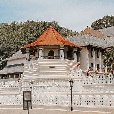 Best of Sri Lanka 7 Days All Inclusive Tour