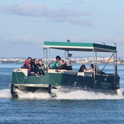  4 Stops | 3 Islands & Ria Formosa Natural Park - From Faro