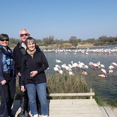 Flamingos and traditions of Camargue Nature Park