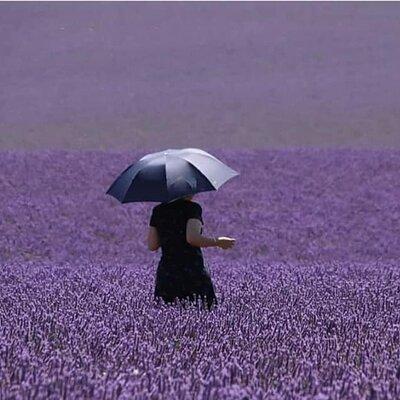 Full-day Private Tour Gorges du Verdon (LAVENDER JUNE 15/JULY 15)