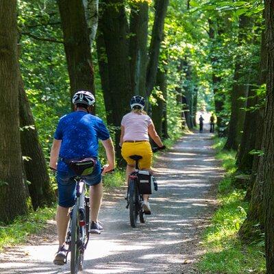 Acadia Half Day Private Bike Tour