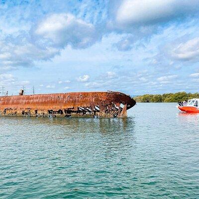 90 Minute Port River Dolphin & Ships Graveyard Cruise