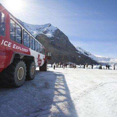 1 Day Columbia Icefield | Ice Explorer | Peyto Lake |From Calgary