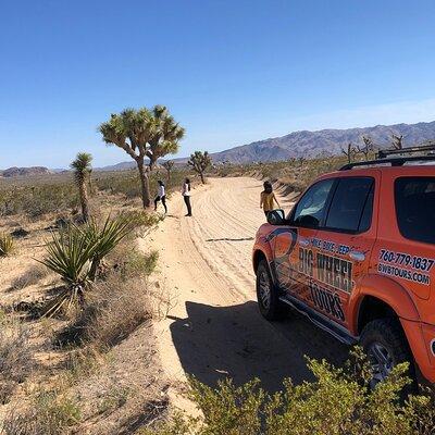 Joshua Tree National Park Offroad Tour