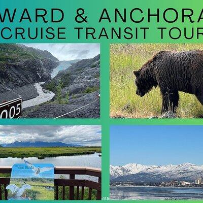 Seward to Anchorage Land Transfer Tour 