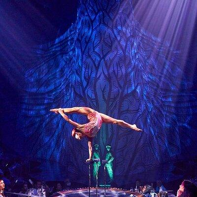 Cirque du Soleil JOYA Admission Tickets