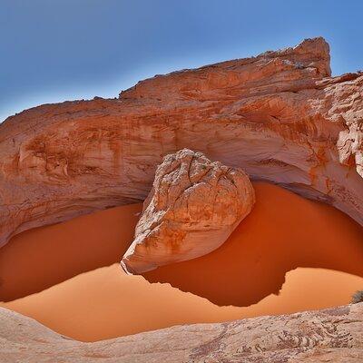 8 Hours Cosmic Ashtray Experience in Escalante