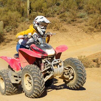 Self-Guided Centipede Desert ATV Rental