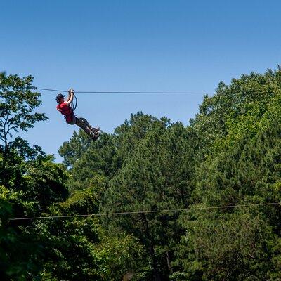 Ziplining and Climbing at The Adventure Park at Virginia Aquarium