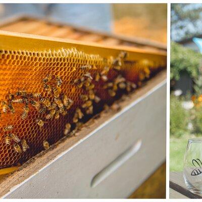 Okanagan Bee Tour and Lunch at Winery in Kelowna