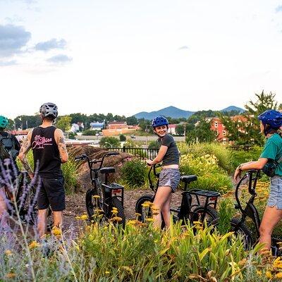 3-Hour E-Bike Sightseeing and Breweries Tour in Roanoke