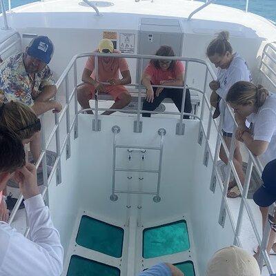 Day Tour Glass Bottom Boat In Islamorada