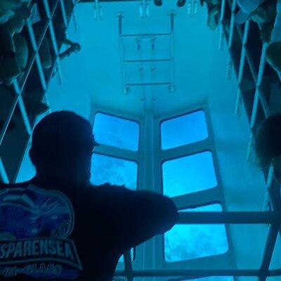 Night Tour Glass Bottom Boat in Islamorada