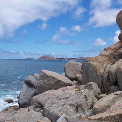 Victor Harbor and Fleurieu Peninsula Tour