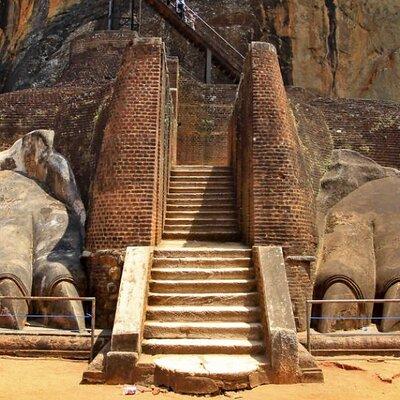 Sigiriya & Dambulla Private Day Tour from Colombo & Negombo