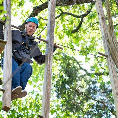 3-Hour Ropes Course & Zip Line Adventure 