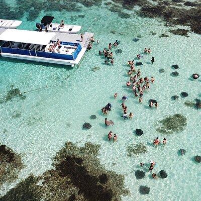 6-Hours Guided Stingray Tour in the East Coast of Antigua